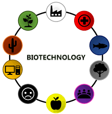 How is biotechnology used in agriculture and medicine?