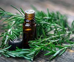 Can rosemary be used on all hair types?