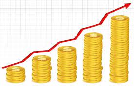 How do you calculate the net present value (NPV) of an investment?