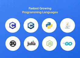 What are the main programming languages used in software development?