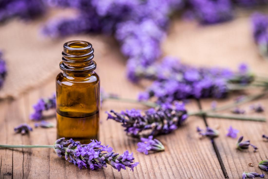 What is Lavender? Lavender’s effects on hair