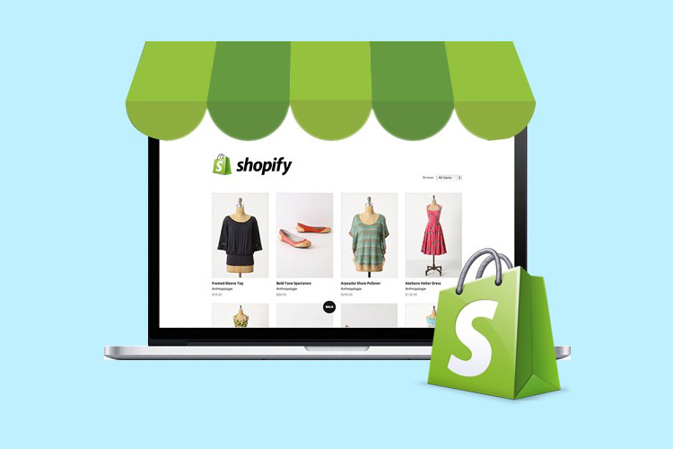 Customizing the theme to match your brand – Store Setup and Design – Understanding the Shopify platform