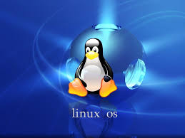 File and directory management (creation, deletion, renaming) – Linux Installation and Basic Commands – Linux operating system