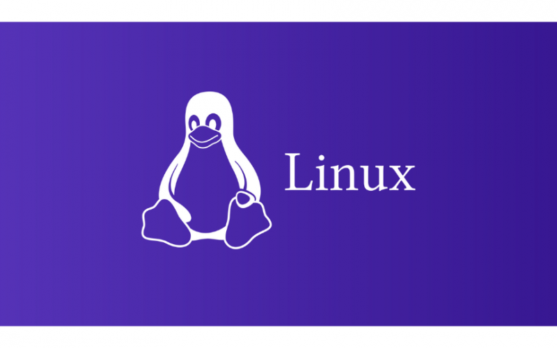 File permissions and ownership – Linux Installation and Basic Commands – Linux operating system