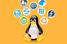 Introduction to Linux server administration (web servers, database servers) – Linux operating system