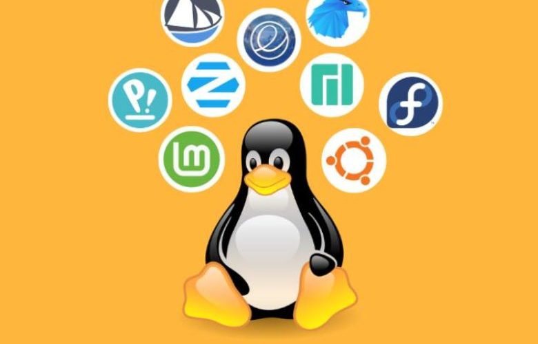 Linux distributions and their characteristics – Linux operating system