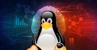 Linux installation methods and considerations – Linux operating system