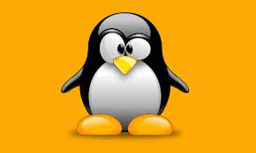 Linux kernel overview and customization – Linux operating system