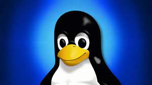 Shell environment and configuration – Linux Shell and Shell Scripting – Linux operating system