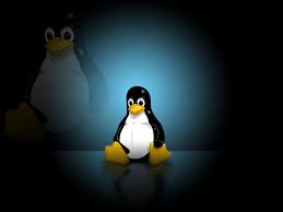 Software package management (package installation, updates) – System Administration – Linux operating system