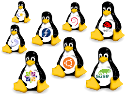 User and group management (creation, modification, deletion) – User and Group Administration – Linux operating system