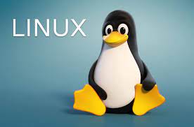 User and group permissions – User and Group Administration – Linux operating system