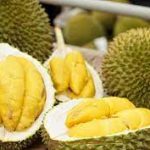 Nutrients contained in durian fruit