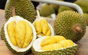 Nutrients contained in durian fruit