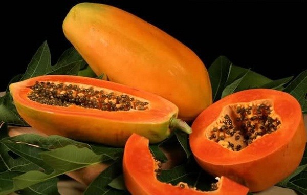 Nutrients contained in papaya