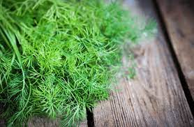 Nutrients contained in fennel