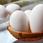 Nutrients contained in goose eggs