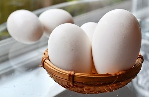 Nutrients contained in goose eggs