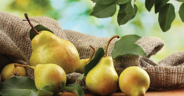 Nutrients contained in pears