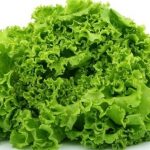 Nutrients found in lettuce