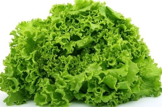 Nutrients found in lettuce