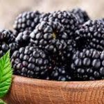 Nutrients found in blackberries