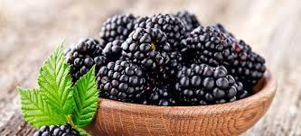 Nutrients found in blackberries