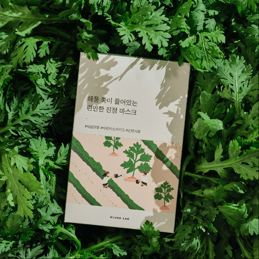 Round Lab Mugwort Calming Sheet Mask New Arrival